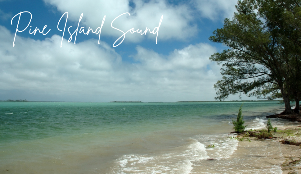 Pine Island Sound Algae